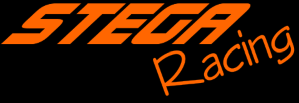 DMD2 Workshop bei Stega Racing in Worms